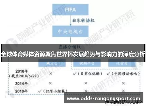全球体育媒体资源聚焦世界杯发展趋势与影响力的深度分析