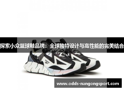 探索小众篮球鞋品牌：全球独特设计与高性能的完美结合
