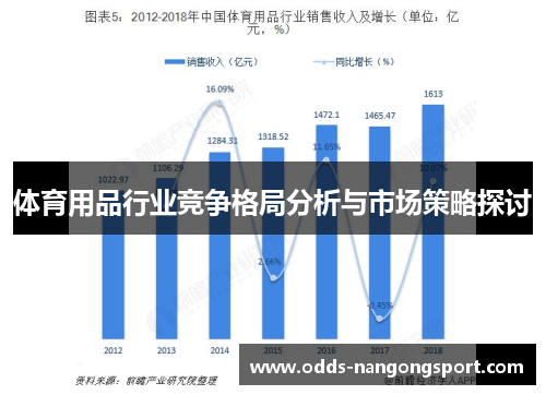 体育用品行业竞争格局分析与市场策略探讨