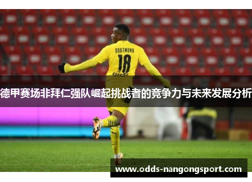 德甲赛场非拜仁强队崛起挑战者的竞争力与未来发展分析