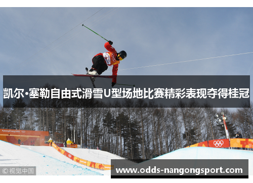 凯尔·塞勒自由式滑雪U型场地比赛精彩表现夺得桂冠