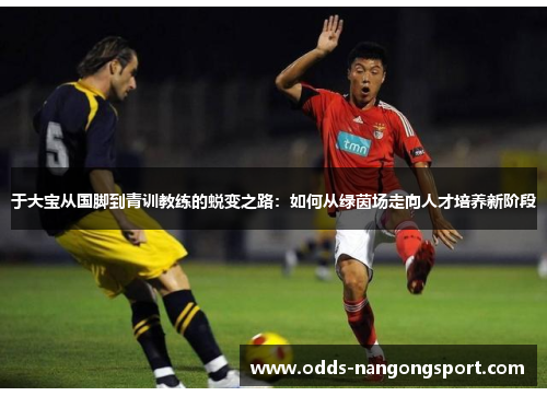 于大宝从国脚到青训教练的蜕变之路:如何从绿茵场走向人才培养新阶段